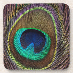 Peacock Feather Coaster