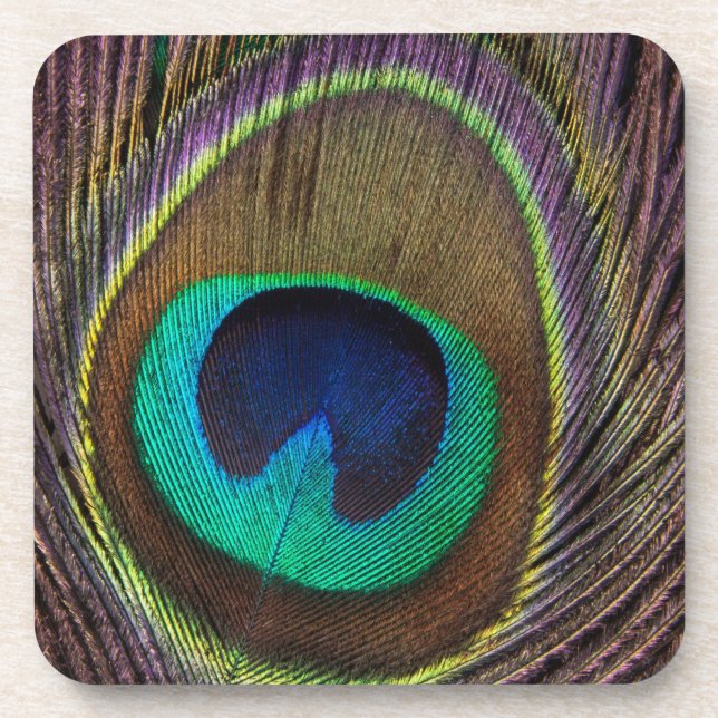 Peacock Feather Coaster (Front)