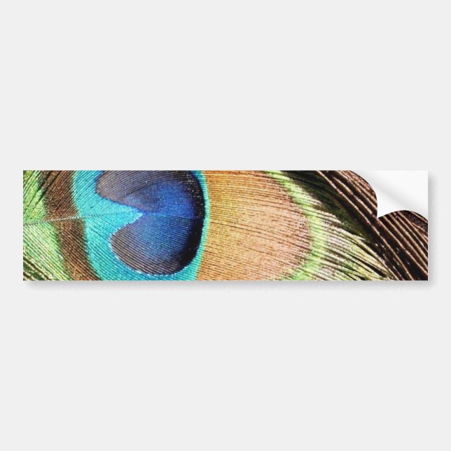 Peacock Feather Designs Bumper Sticker (Front)