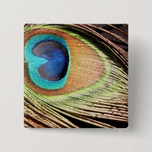 Peacock Feather Designs Square Pin