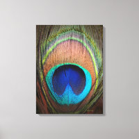 Peacock Feather Detail Decor Art