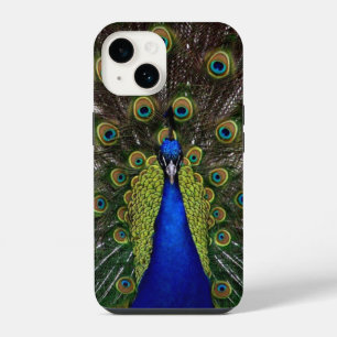 Peacock Feather Display iPhone 14 Case