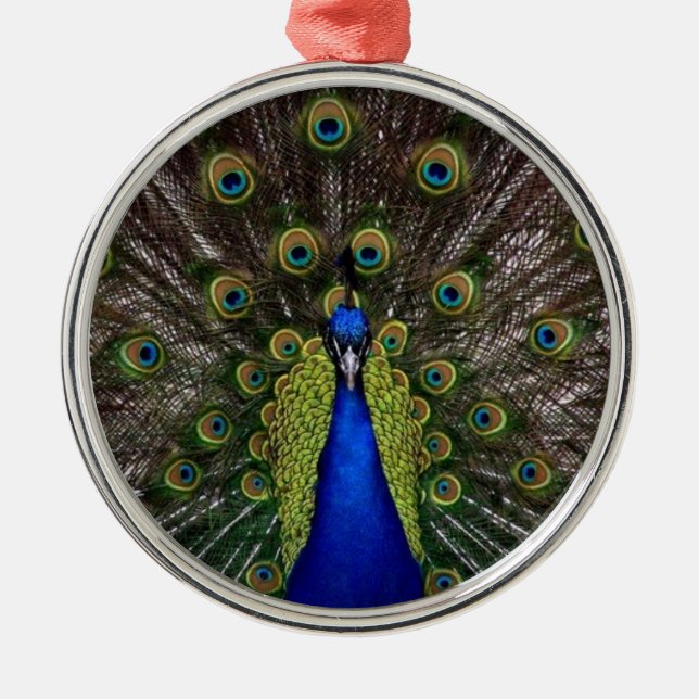 Peacock Feather Display Photo Metal Tree Decoration (Front)