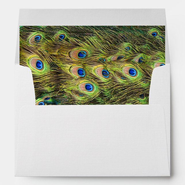Peacock Feather Envelope (Back (Bottom))