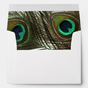 Peacock Feather Envelopes