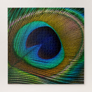 Peacock Feather Eye Jigsaw Puzzle