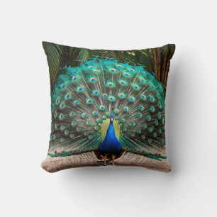 Peacock Feather Fanning Cushion