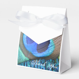 Peacock Feather Favour Bag Box