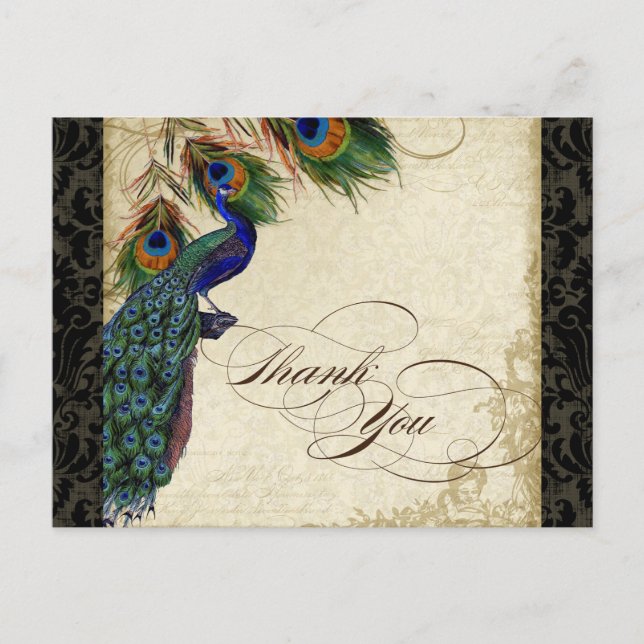 Peacock & Feather Formal Thank You Note Black Tan Postcard (Front)