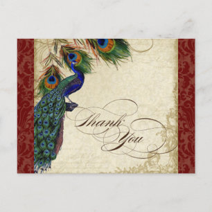 Peacock & Feather Formal Thank You Note Burgundy Postcard