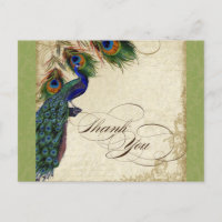 Peacock & Feather Formal Thank You Note Lime Green