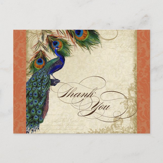 Peacock & Feather Formal Thank You Note Orange Postcard (Front)