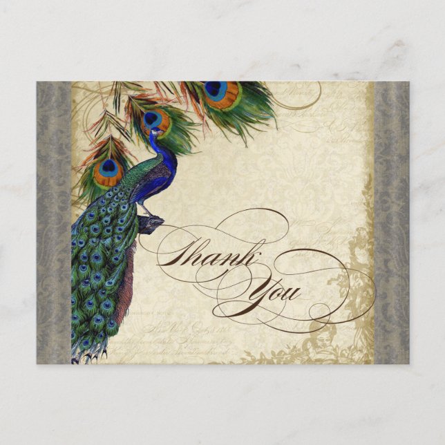 Peacock & Feather Formal Thank You Note Silver Postcard (Front)