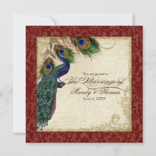 Peacock & Feather Formal Wedding Invite Burgundy