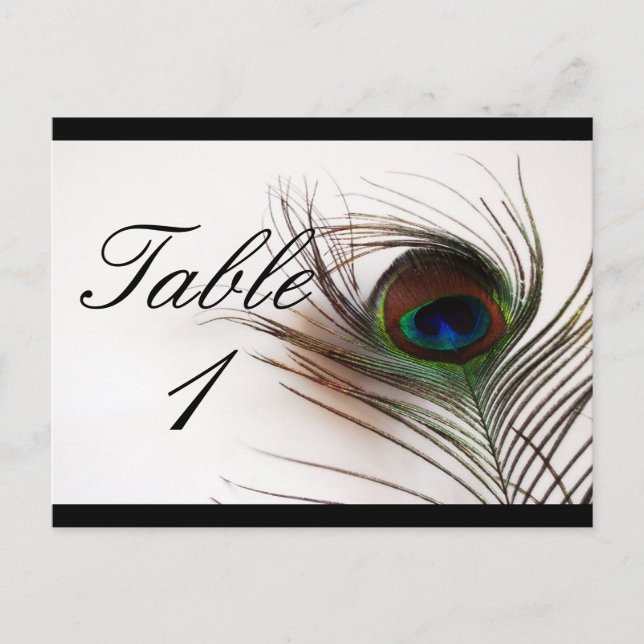 Peacock Feather Glamour Table Number Postcard (Front)