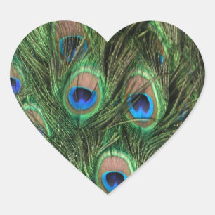 Peacock Feather Heart Sticker