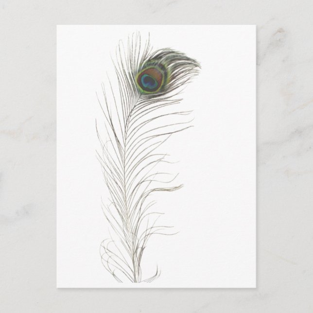 Peacock Feather Invitation Postcard (Front)