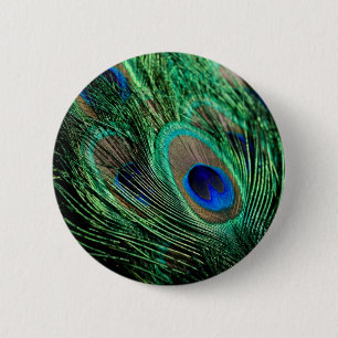 Peacock Feather Lucky 6 Cm Round Badge