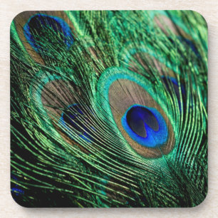 Peacock Feather Lucky Coaster