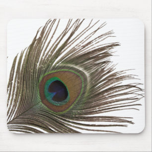 Peacock feather mouse mat