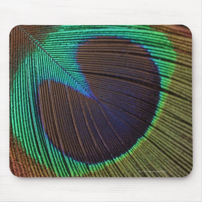 Peacock feather mouse mat (Front)
