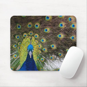 Peacock Feather Mouse Mat