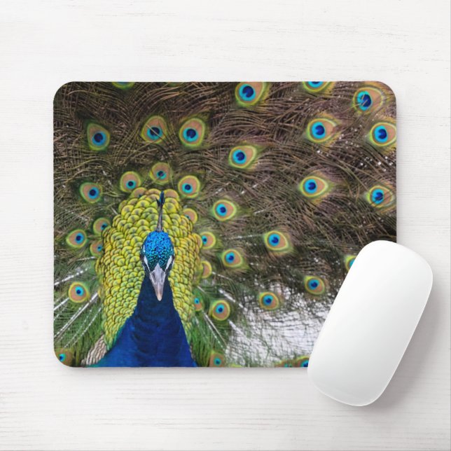 Peacock Feather Mouse Mat (With Mouse)