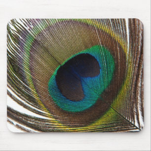 Peacock feather mouse mat