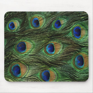 Peacock feather mouse pad