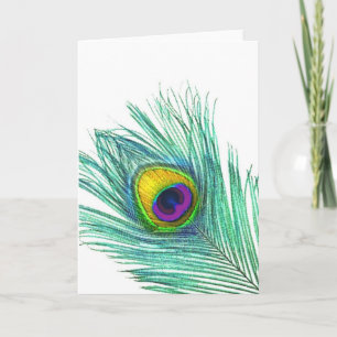 Peacock Feather note cards