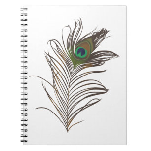 Peacock Feather Notebook