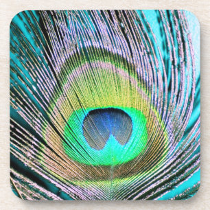Peacock Feather on Turquoise Coaster