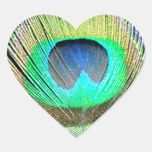 Peacock Feather on Turquoise Heart Sticker