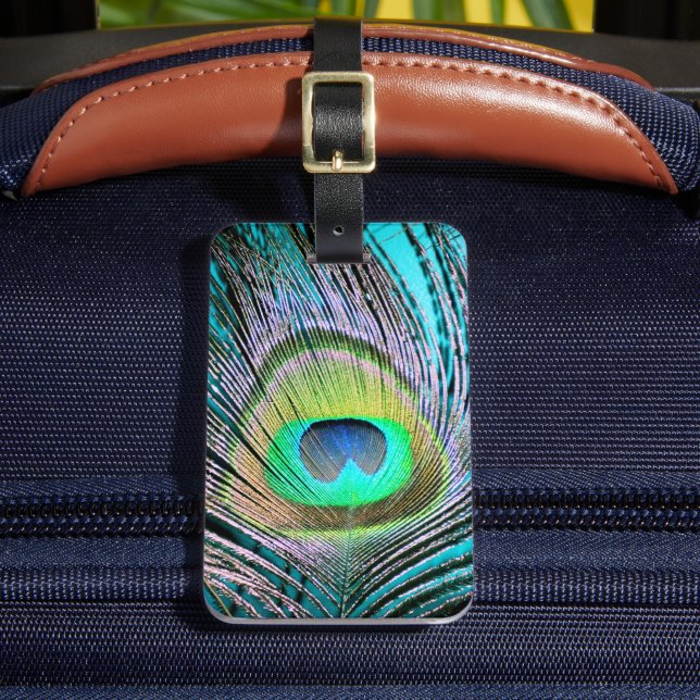 Peacock Feather on Turquoise Luggage Tag (Front Insitu 2)