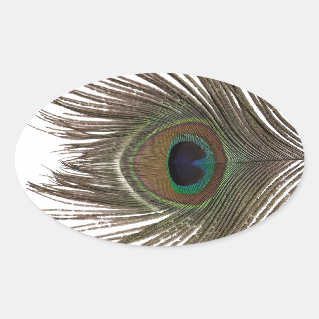 Peacock feather oval sticker (Front)
