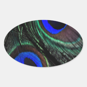 Peacock feather oval sticker