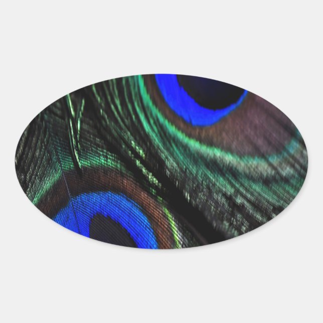 Peacock feather oval sticker (Front)