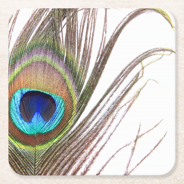 Peacock Feather Paper Coasters (Front)