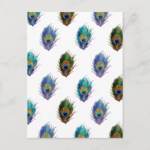 Peacock feather pattern postcard
