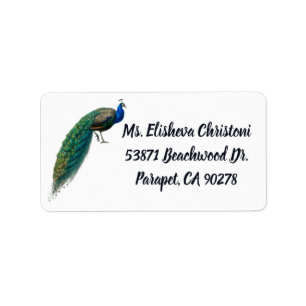 Peacock Feather Peacocks Return Address Labels