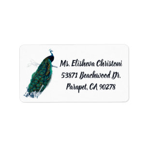 Peacock Feather Peacocks Return Address Labels