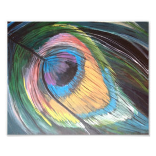 Peacock Feather Photo Print