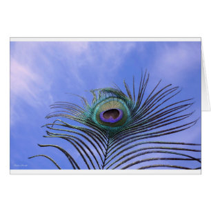 Peacock Feather Photograph Light Blue Card