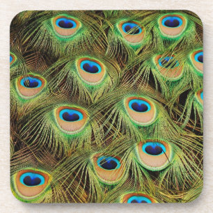 Peacock feather print coasters