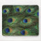 Peacock Feather Print