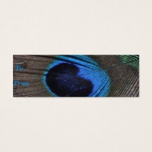 Peacock Feather Profile Card