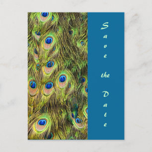 Peacock Feather Save the Date Card
