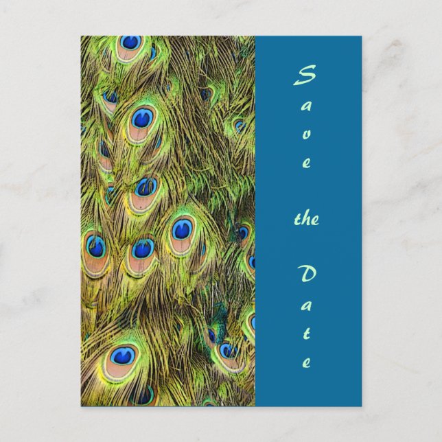 Peacock Feather Save the Date Card (Front)
