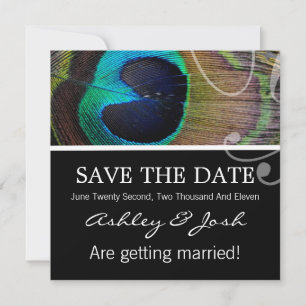 Peacock Feather Save The Date Invites
