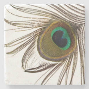  Peacock Feather    Stone Coaster
